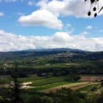 La vie est belle - Ausflug Lacoste